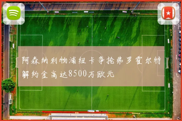 阿森纳利物浦纽卡争抢弗罗霍尔特解约金高达8500万欧元