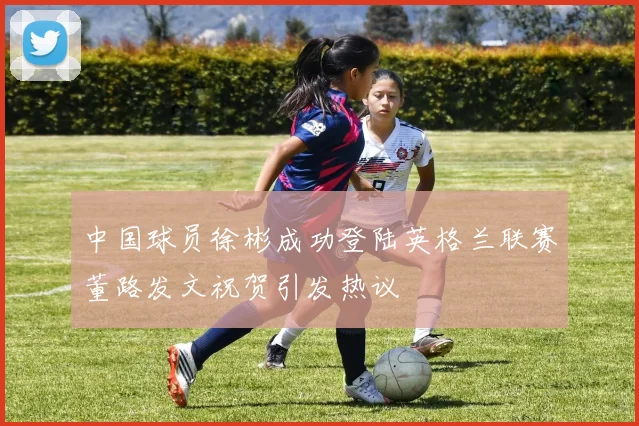 中国球员徐彬成功登陆英格兰联赛董路发文祝贺引发热议