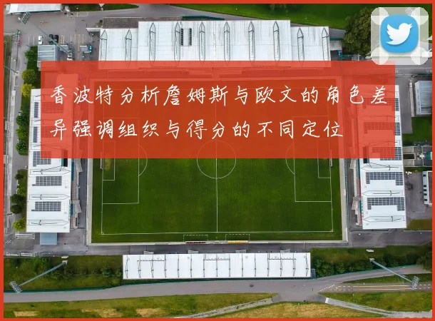 香波特分析詹姆斯与欧文的角色差异强调组织与得分的不同定位