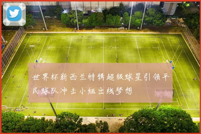 世界杯新西兰特辑超级球星引领平民球队冲击小组出线梦想